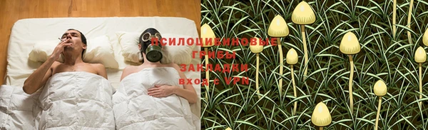 MESCALINE Елабуга