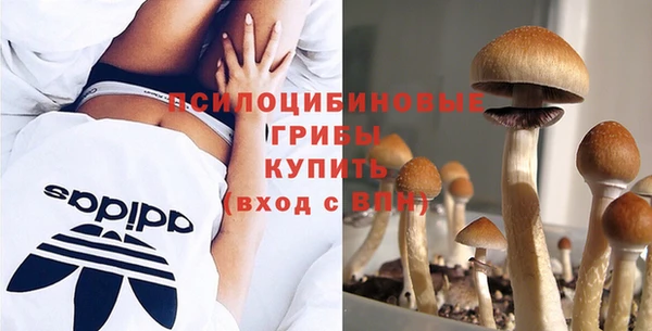 ALPHA PVP Елизово
