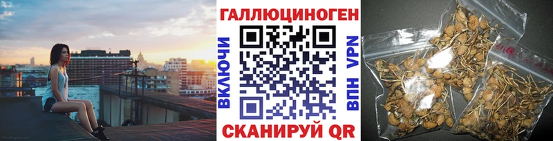 Галлюциногенные грибы Psilocybine cubensis  Купить закладки  Игарка 